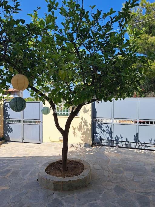 Apartament Hestia Airport House - Artemis Zewnętrze zdjęcie